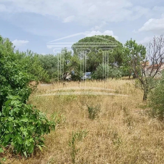 Annonces CARPENTRAS : Terrain | SORGUES (84700) | m2 | 108 000 € 