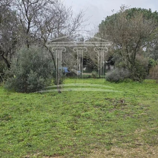 Annonces CARPENTRAS : Terrain | SORGUES (84700) | m2 | 108 000 € 