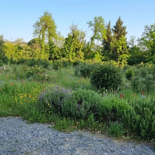  Annonces CARPENTRAS : Ground | BEDARRIDES (84370) | 263 m2 | 190 000 &euro; 