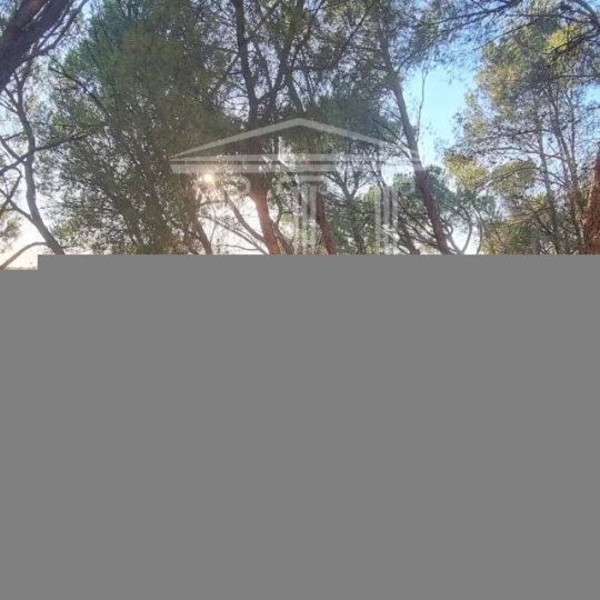  Annonces CARPENTRAS : Appartement | SORGUES (84700) | 58 m2 | 72 000 &euro; 