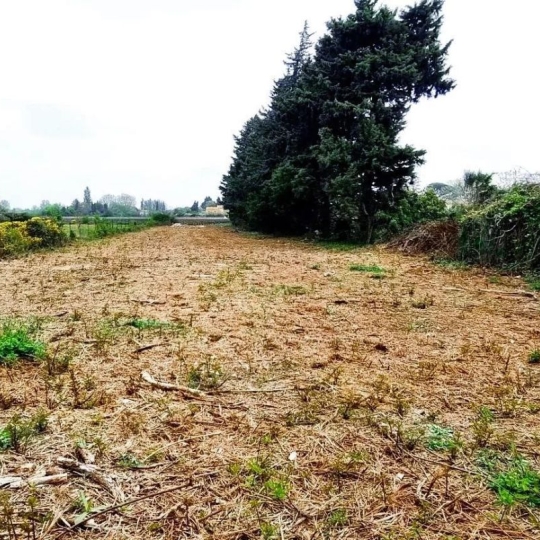  Annonces CARPENTRAS : Ground | JONQUERETTES (84450) | 0 m2 | 218 000 &euro; 