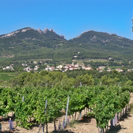  Annonces CARPENTRAS : Terrain | VACQUEYRAS (84190) | 0 m2 | 160 000 &euro; 