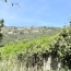  Annonces CARPENTRAS : Maison / Villa | BEAUMES-DE-VENISE (84190) | 127 m2 | 325 000 &euro; 