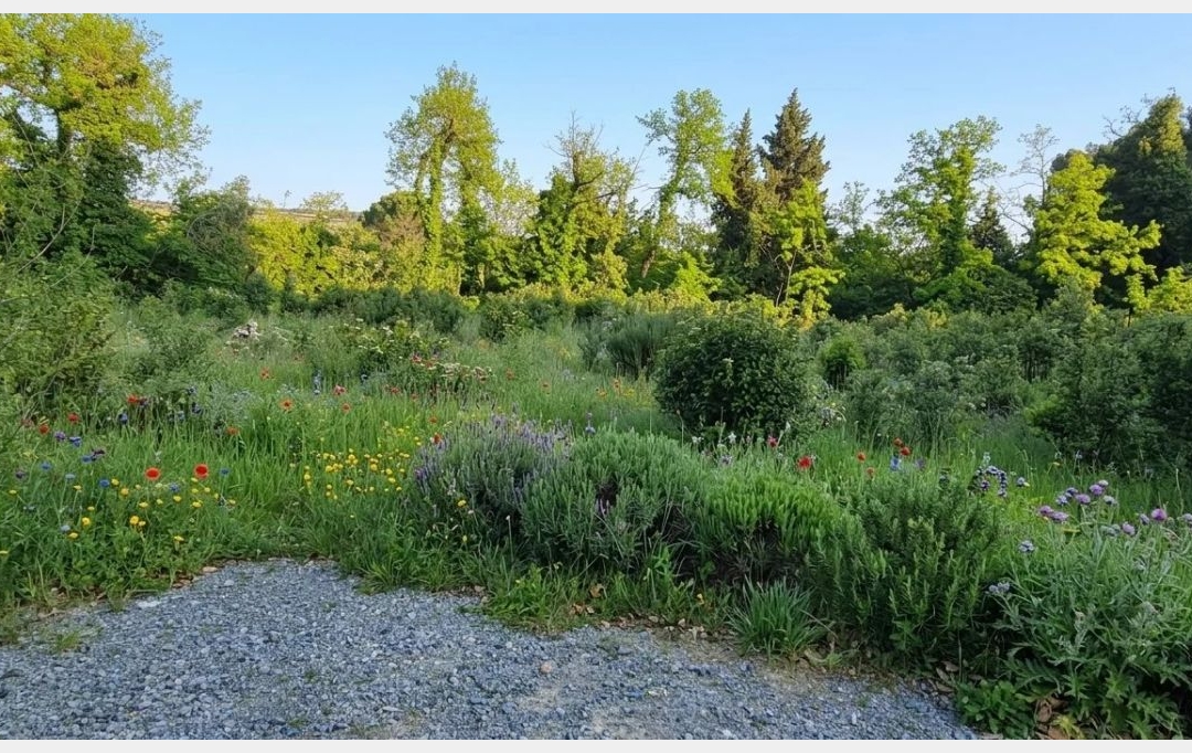 Annonces CARPENTRAS : Ground | BEDARRIDES (84370) | 263 m2 | 190 000 &euro; 