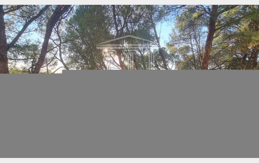 Annonces CARPENTRAS : Appartement | SORGUES (84700) | 58 m2 | 72 000 &euro; 