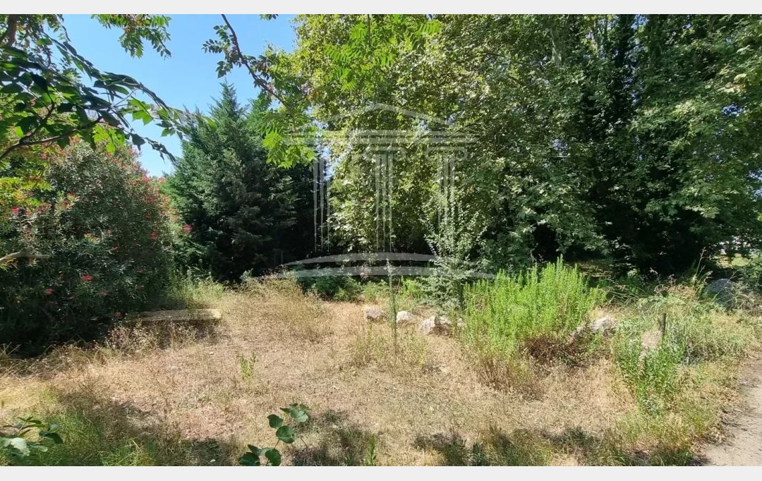 Annonces CARPENTRAS : Terrain | SORGUES (84700) | 0 m2 | 190 000 &euro; 