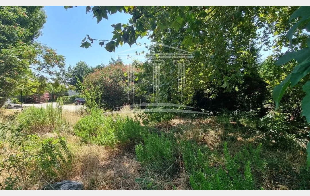 Annonces CARPENTRAS : Terrain | SORGUES (84700) | 0 m2 | 190 000 &euro; 