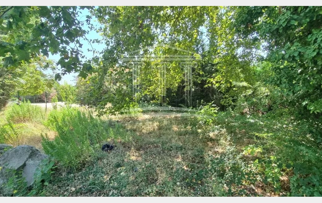 Annonces CARPENTRAS : Terrain | SORGUES (84700) | 0 m2 | 190 000 &euro; 