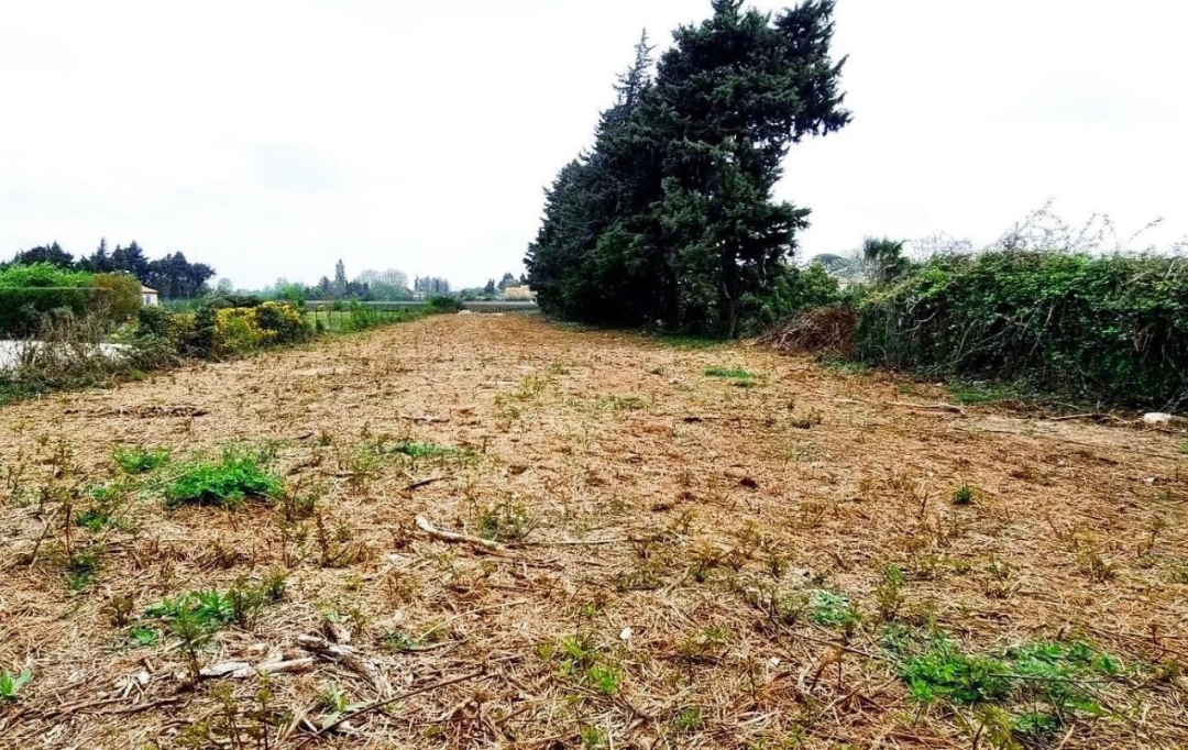 Annonces CARPENTRAS : Ground | JONQUERETTES (84450) | 0 m2 | 218 000 &euro; 