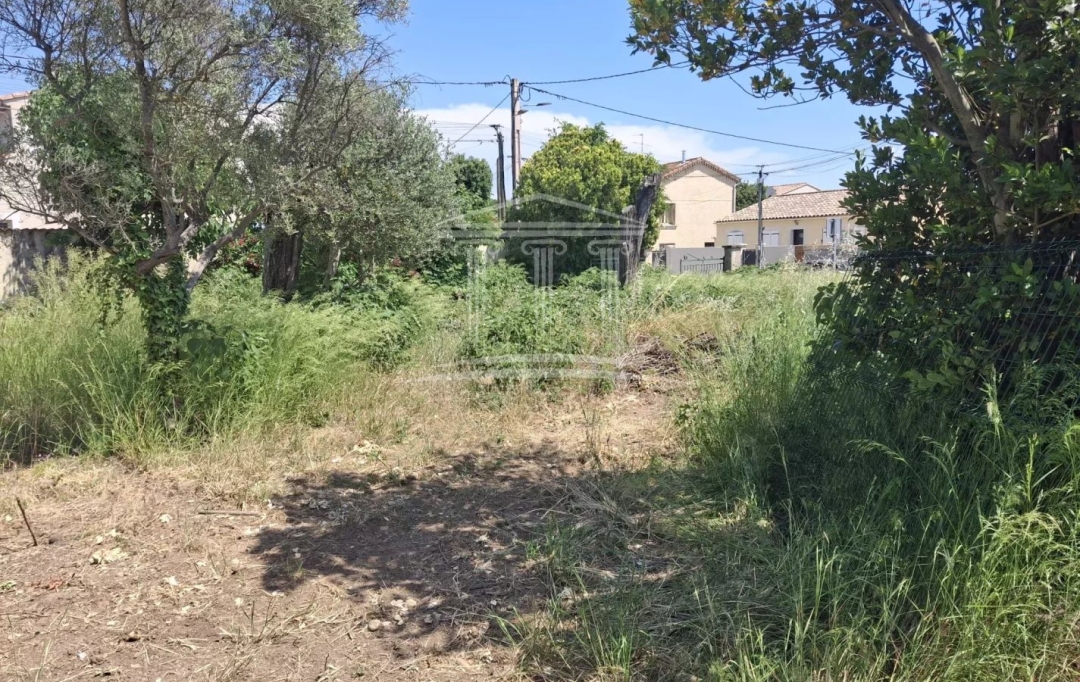 Annonces CARPENTRAS : Terrain | SORGUES (84700) | 0 m2 | 128 000 &euro; 