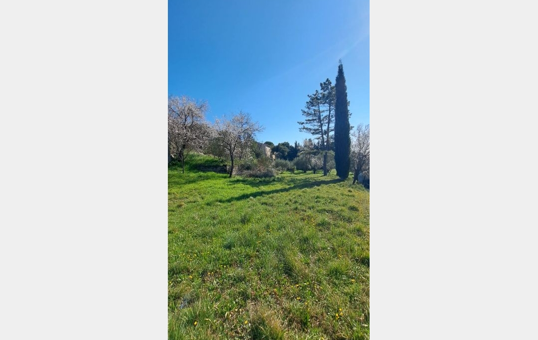 Annonces CARPENTRAS : Ground | VACQUEYRAS (84190) | 0 m2 | 150 000 &euro; 