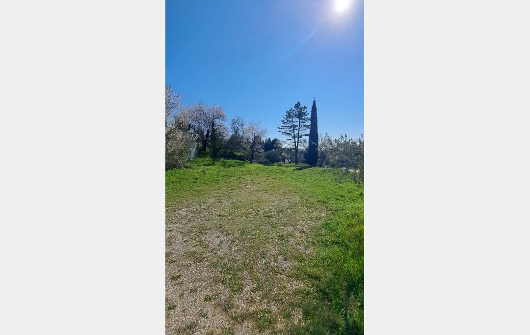 Annonces CARPENTRAS : Ground | VACQUEYRAS (84190) | 0 m2 | 150 000 &euro; 