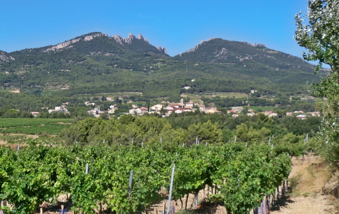 Annonces CARPENTRAS : Terrain | VACQUEYRAS (84190) | 0 m2 | 160 000 &euro; 