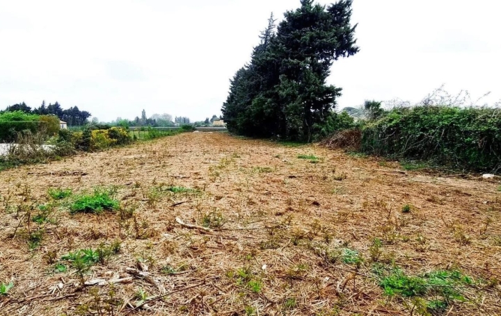  Annonces CARPENTRAS Ground | JONQUERETTES (84450) | 0 m2 | 218 000 € 